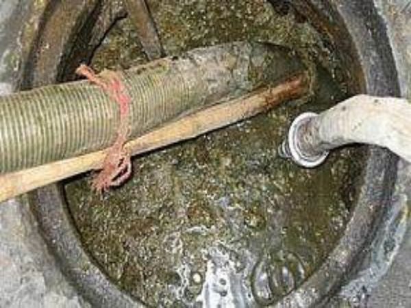 疏通下水的水老鼠（怎样赶走下水道里的老鼠）